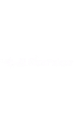 ai_overview_photo3