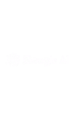 home-hero-google-ai